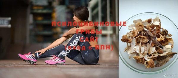 каннабис Арсеньев