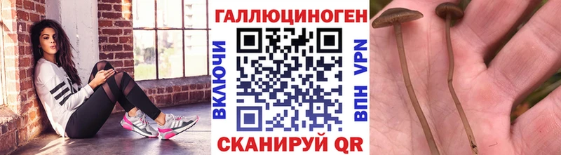 Псилоцибиновые грибы MAGIC MUSHROOMS  сколько стоит  Арсеньев 